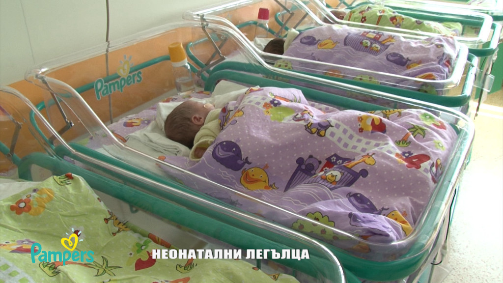 Beds Babies 2