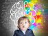 развитие на мозъка при дете до две години