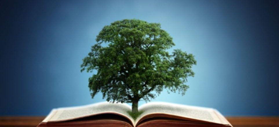 мъдрост притча за истина и лъжа